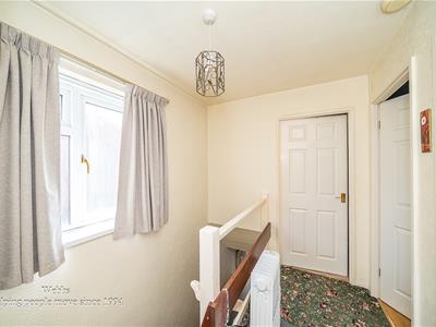 Picture 21